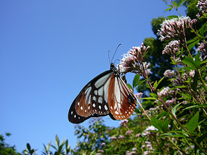 �A�T�M�}�_���z��