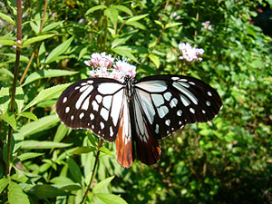 �A�T�M�}�_���z��