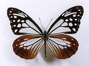 �A�T�M�}�_����